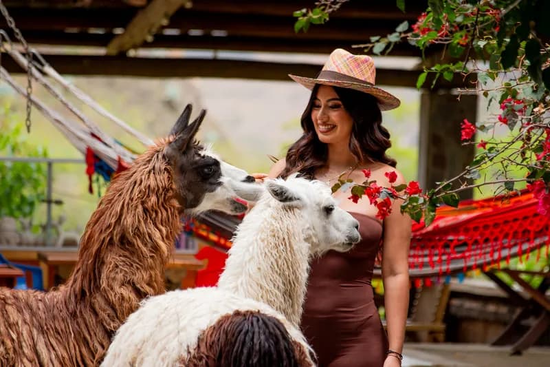 Llamas de Mawá